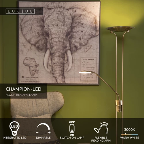 Lucide CHAMPION-LED - Floor reading lamp - LED Dim. - 3000K - Bronze - USP